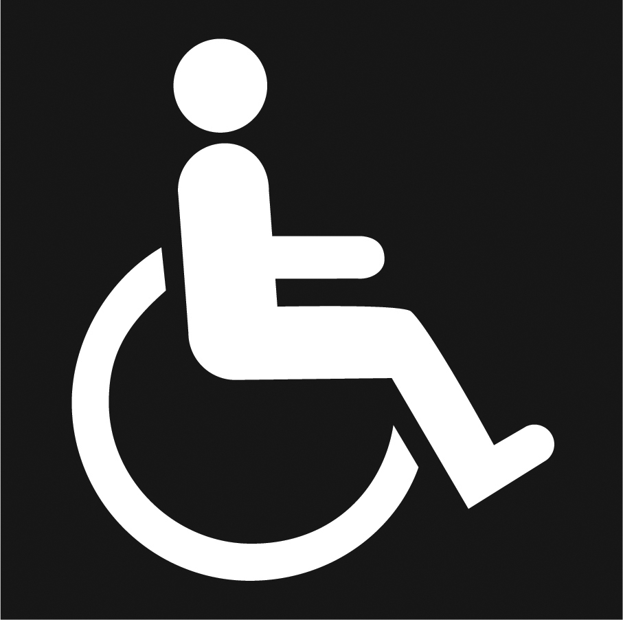 Wheel Chair Icon